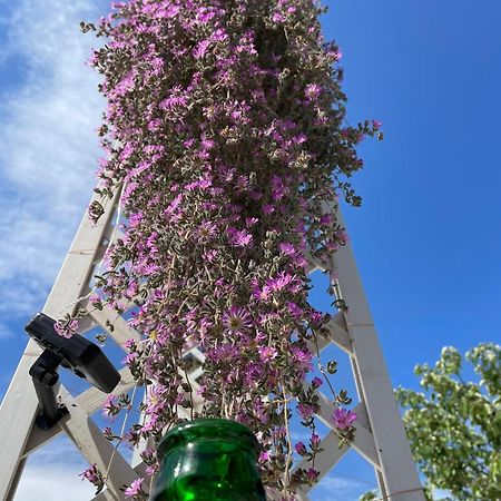 Vila I Trulli Dei Nonni Evelin Martina Franca Exteriér fotografie